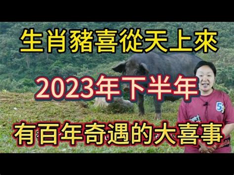 2023屬豬買房 純住宅